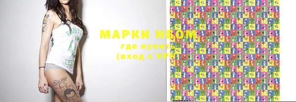стафф Касимов