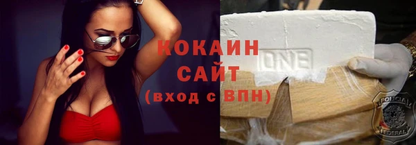 индика Карпинск