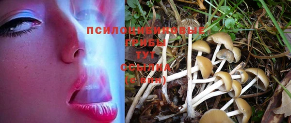 стафф Карталы