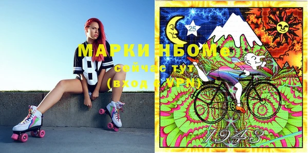 индика Карпинск