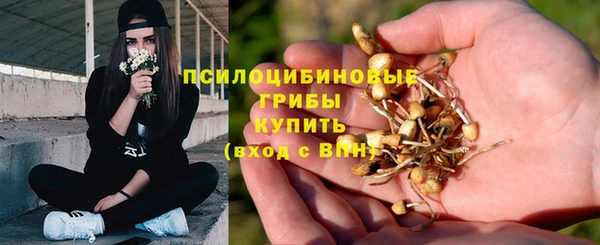 первитин Кинешма